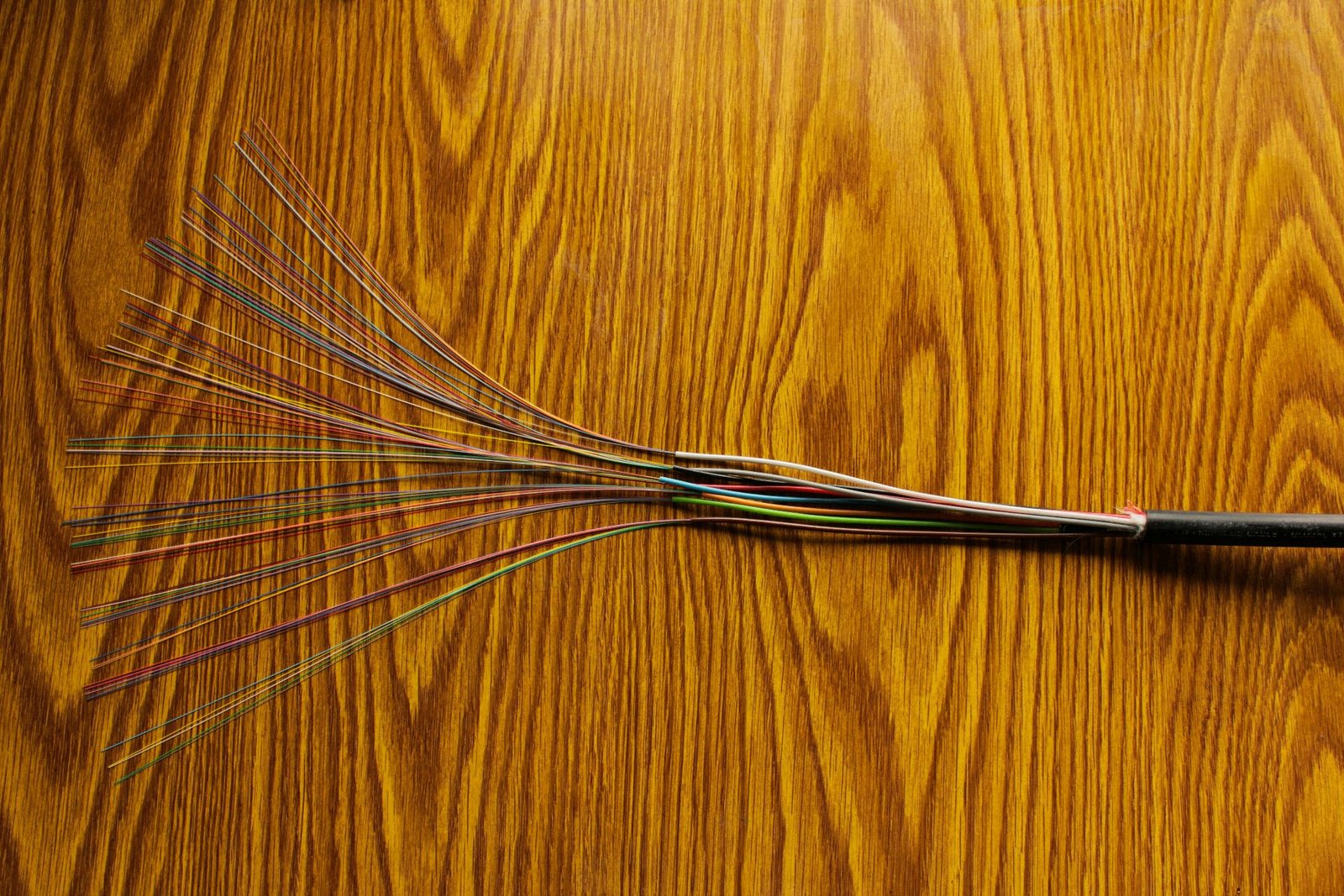 Fiber optic cable bundle showing individual color-coded strands