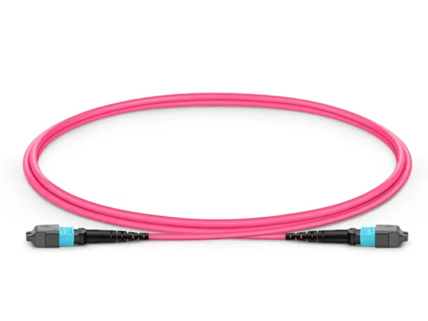 EITS multimode fiber optic patch cable with MPO-12 connector