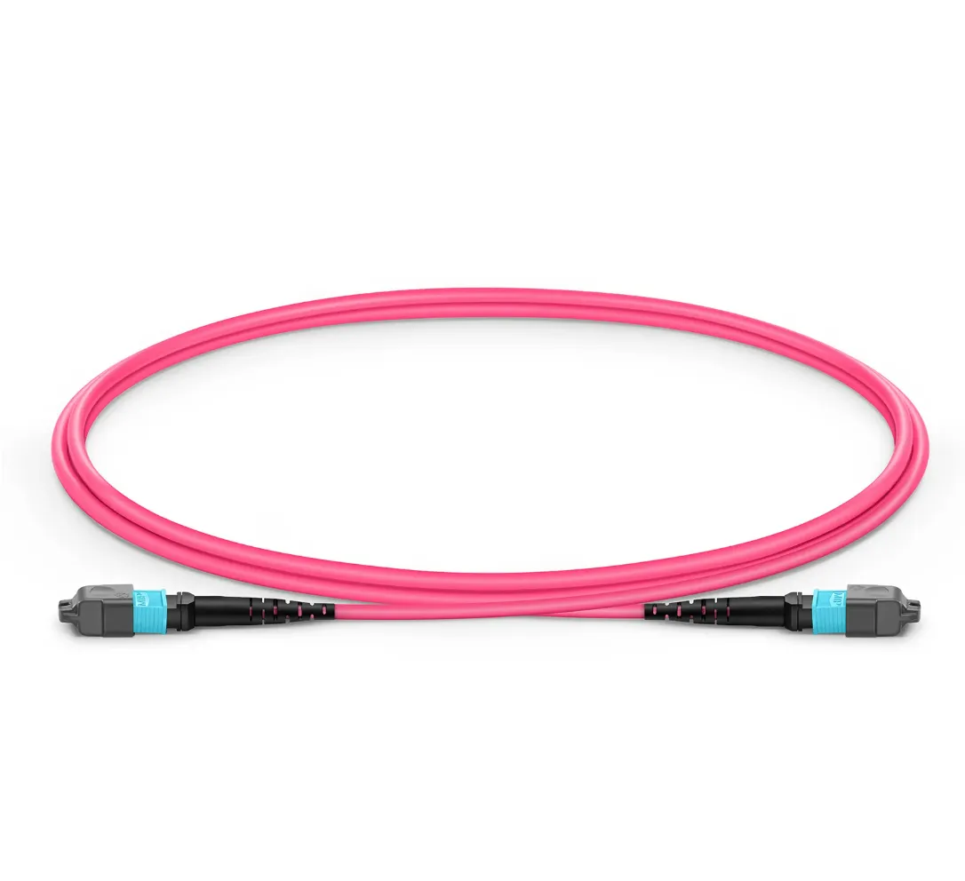 EITS multimode fiber optic patch cable with MPO-12 connector